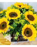 Charming Box of Sunflowers with Solidago