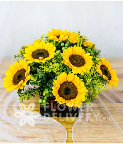 Charming Box of Sunflowers with Solidago Charming Box of Sunflowers with Solidago
