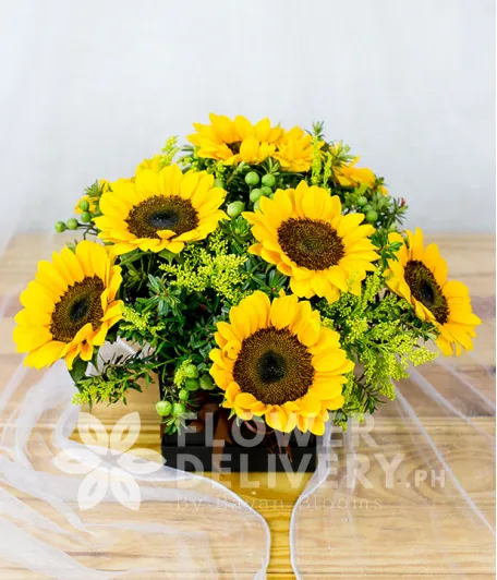 Charming Box of Sunflowers with Solidago