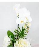 Charming Box of White Flowers