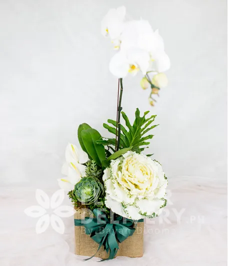 Charming Box of White Flowers