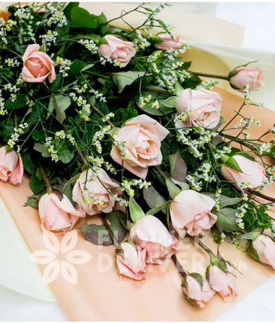 Elegant Light Pink Roses in a Bouquet Elegant Light Pink Roses in a Bouquet
