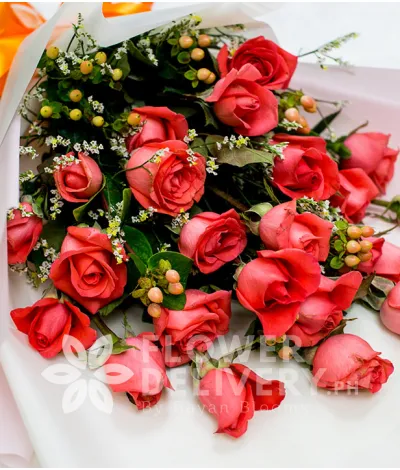 Lovely 2 Dozen Pomelo Roses Lovely 2 Dozen Pomelo Roses