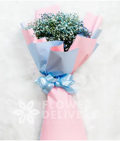 Lovely Blue Gypsophila Lovely Blue Gypsophila