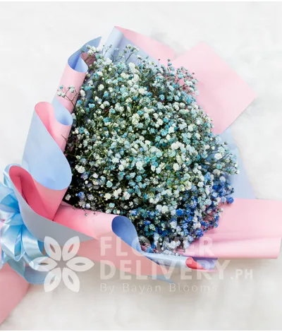 Lovely Blue Gypsophila Lovely Blue Gypsophila