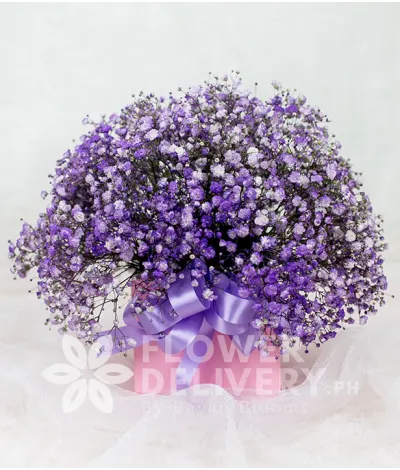 Pink Box of Purple Gypsophila with Ferrero Chocolates Pink Box of Purple Gypsophila with Ferrero Chocolates