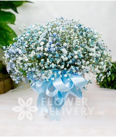 Box of Sky Blue Gypsophila with HBD Banner and Chocolates Box of Sky Blue Gypsophila with HBD Banner and Chocolates
