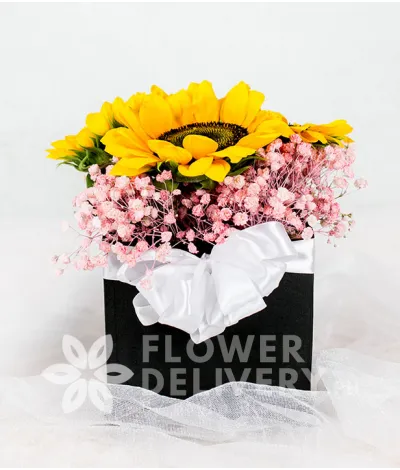 Pretty Sunflowers in a Square Box Pretty Sunflowers in a Square Box