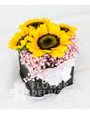 Pretty Sunflowers in a Square Box