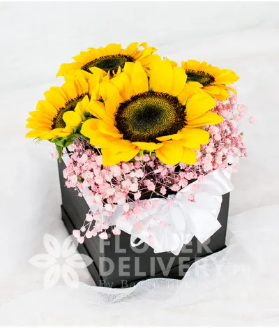 Pretty Sunflowers in a Square Box Pretty Sunflowers in a Square Box