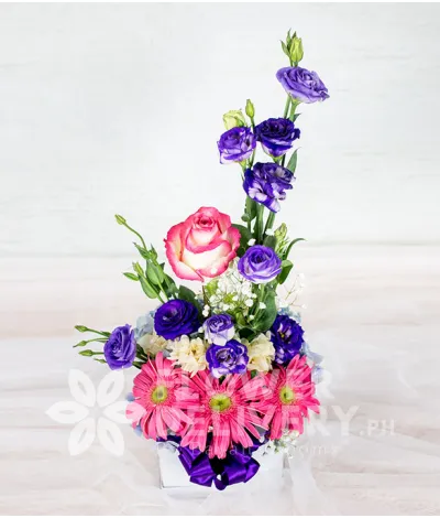 Vibrant Flowers in A Square Box Vibrant Flowers in A Square Box