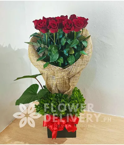 Box of 2 Dozen Red Local Roses Box of 2 Dozen Red Local Roses