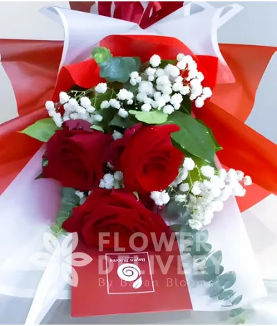 3 Red Ecuadorian Roses 3 Red Ecuadorian Roses