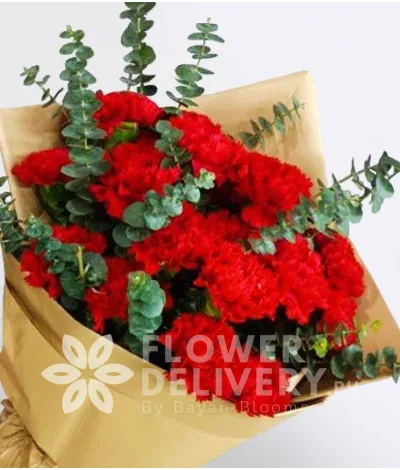 Carnations Surprise 20 Stems Red Carnations Eucalyptus